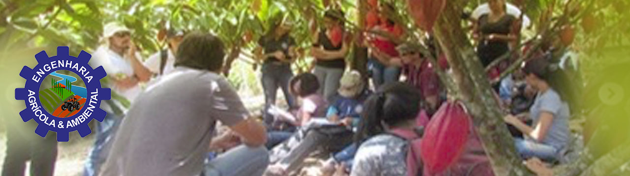 banner 2
