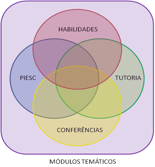 estrutura curricular