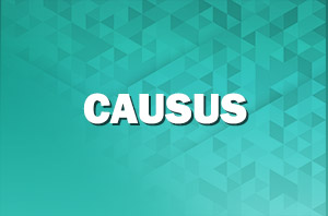 CAUSUS