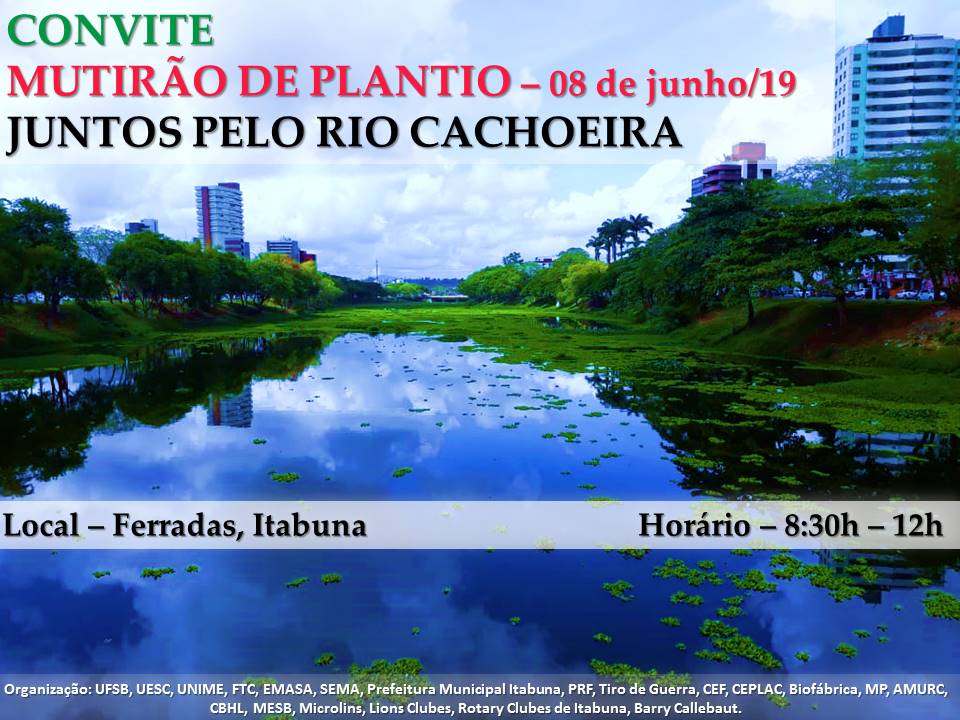 IMG 20190606 WA0007