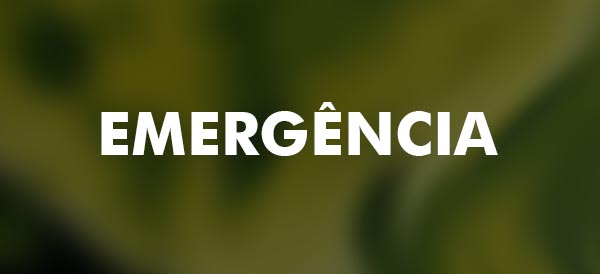 Emergência