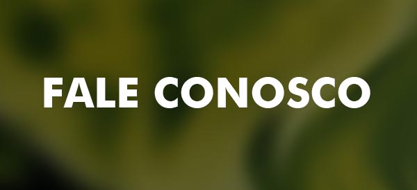 Fale Conosco