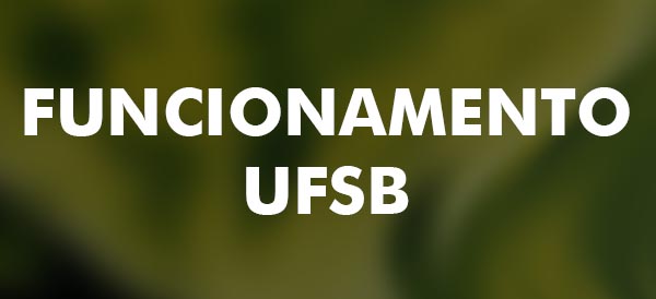 Funcionamento