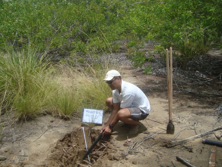 coleta LOE 02