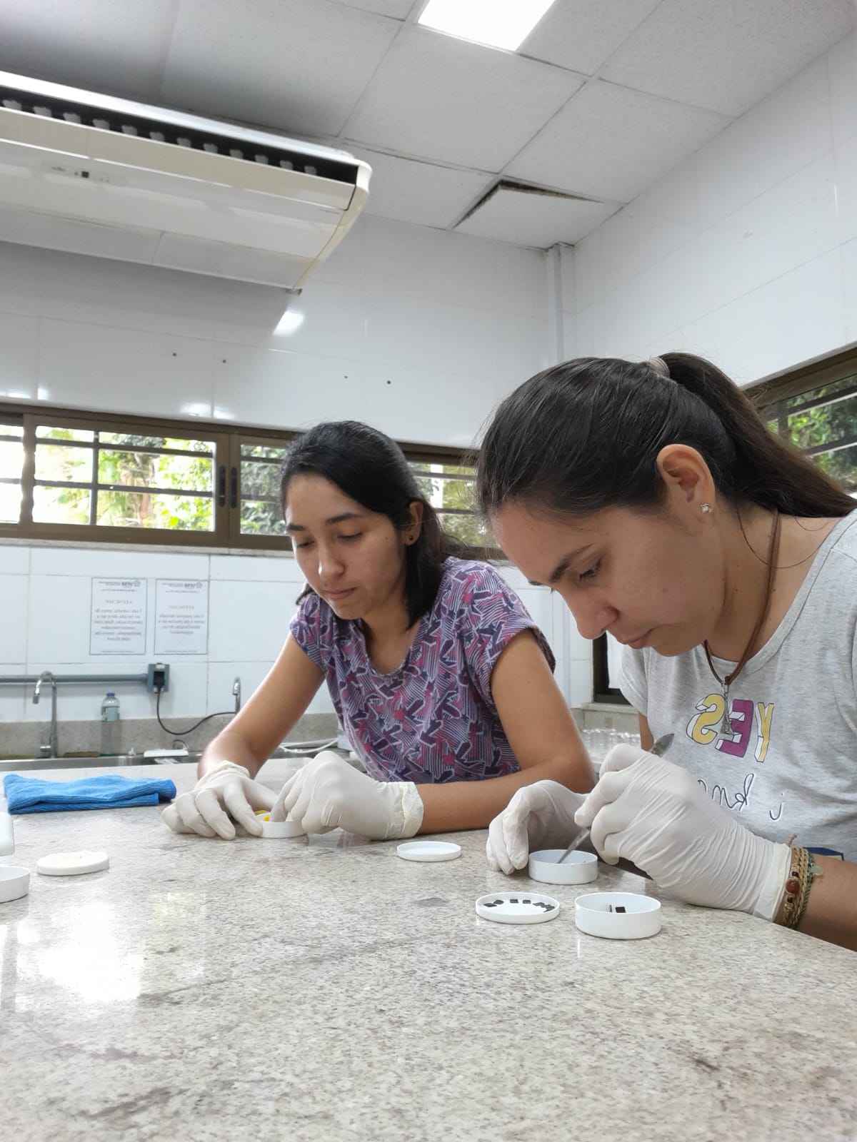 Conteo dos microplasticos para teste