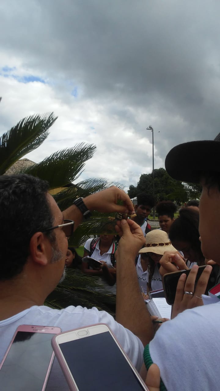 O professor Jorge Costa explicando sobre os óvulos e sementes das Cycas. Foto da estudante Lívia Reis