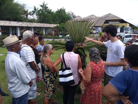visita