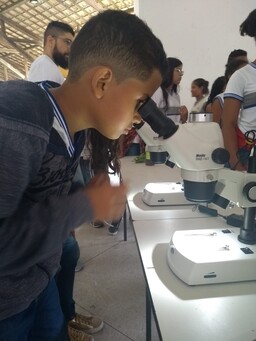 visita